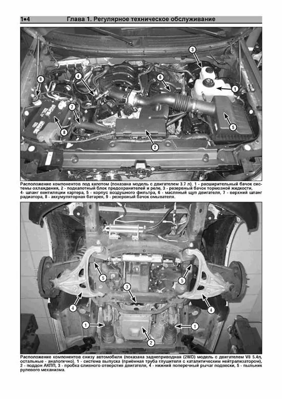 Книга Ford F150 2004-2014, включая рестайлинг с 2009 бензин, ч/б фото. Руководство по ремонту и эксплуатации автомобиля. Легион-Aвтодата Книга Ford F150 2004-2014, включая рестайлинг с 2009 бензин, ч/б фото. Руководство по ремонту и эксплуатации автомобиля. Легион-Aвтодата