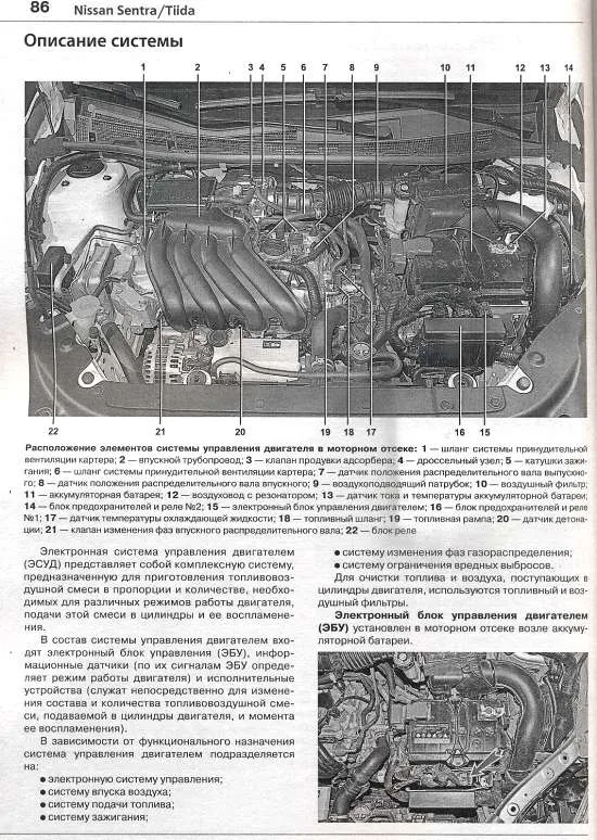 Книга Nissan Sentra c 2014, Tiida c 2015 бензин, черно-белые фото, электросхемы. Руководство по ремонту и эксплуатации автомобиля. Мир Автокниг Книга Nissan Sentra c 2014, Tiida c 2015 бензин, черно-белые фото, электросхемы. Руководство по ремонту и эксплуатации автомобиля. Мир Автокниг