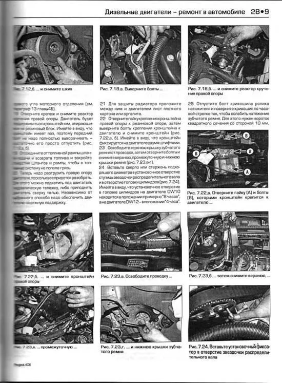 Книга Peugeot 406 1999-2002 бензин, дизель, ч/б фото, цветные электросхемы. Руководство по ремонту и эксплуатации автомобиля. Алфамер Книга Peugeot 406 1999-2002 бензин, дизель, ч/б фото, цветные электросхемы. Руководство по ремонту и эксплуатации автомобиля. Алфамер