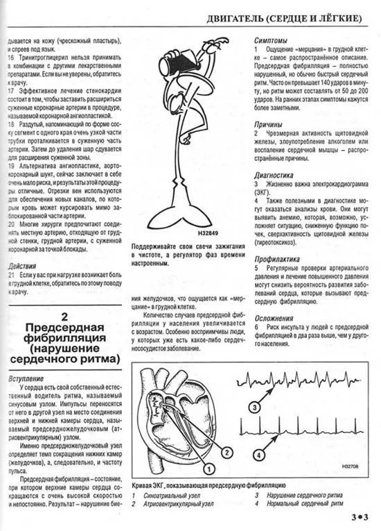 Книга Вся правда о мужчине, иллюстрации. Руководство пользователя. Алфамер Книга Вся правда о мужчине, иллюстрации. Руководство пользователя. Алфамер