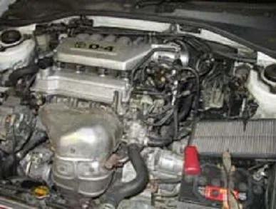 d41.jpg
