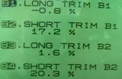 ltft_6.jpg