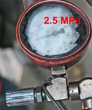 fp_10.jpg