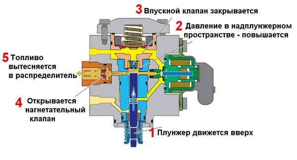 fsi_2.jpg fsi_2.jpg