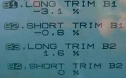 ltft_1.jpg